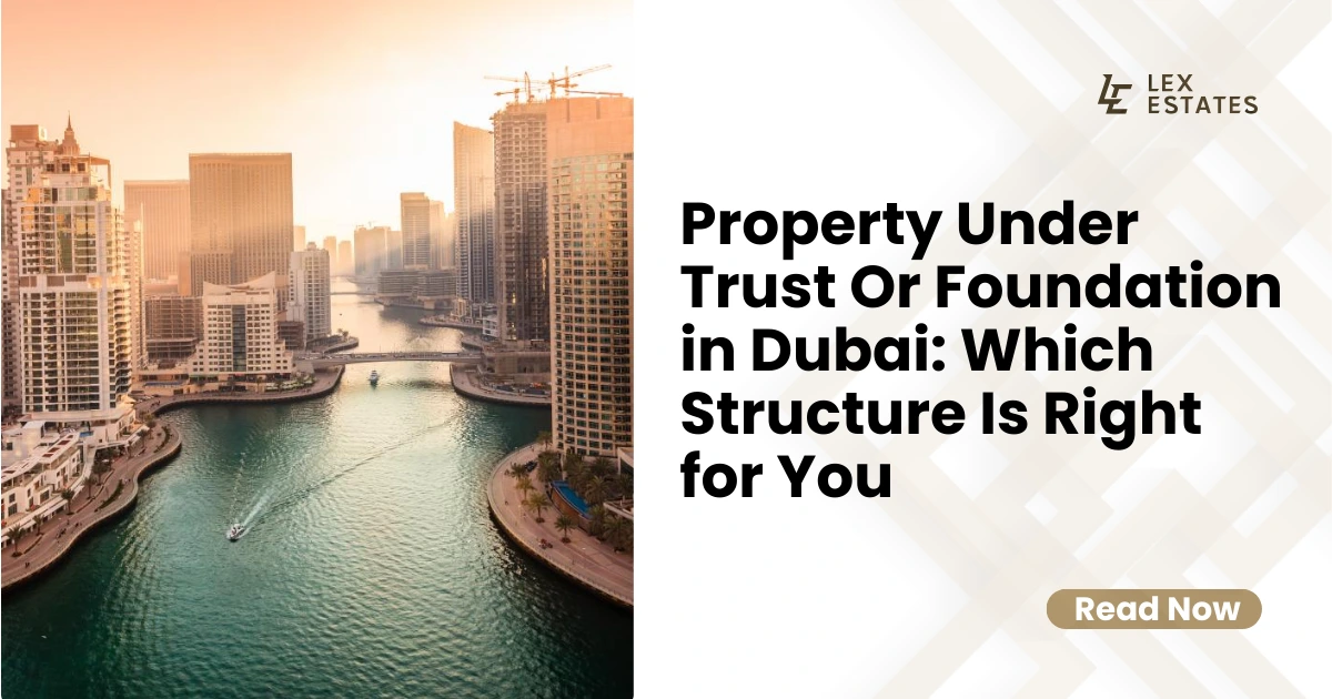 Property Under Trust Or Foundation